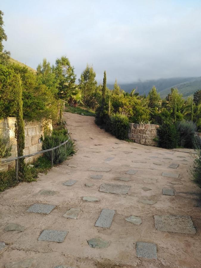 Il Corbezzolo Suite Appartament Castelluzzo Bagian luar foto
