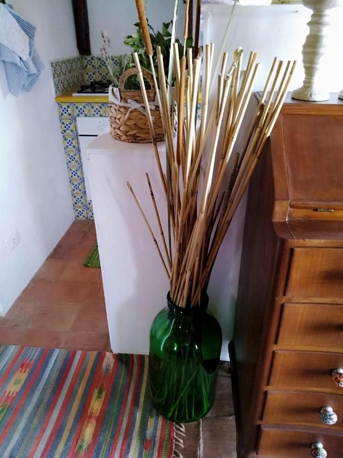 Il Corbezzolo Suite Appartament Castelluzzo Bagian luar foto