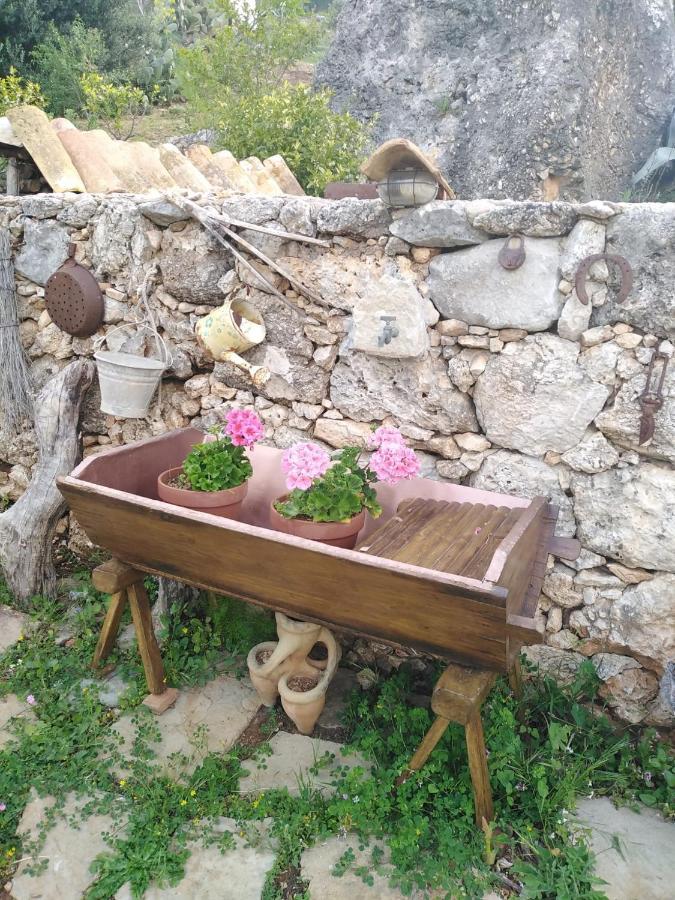 Il Corbezzolo Suite Appartament Castelluzzo Bagian luar foto