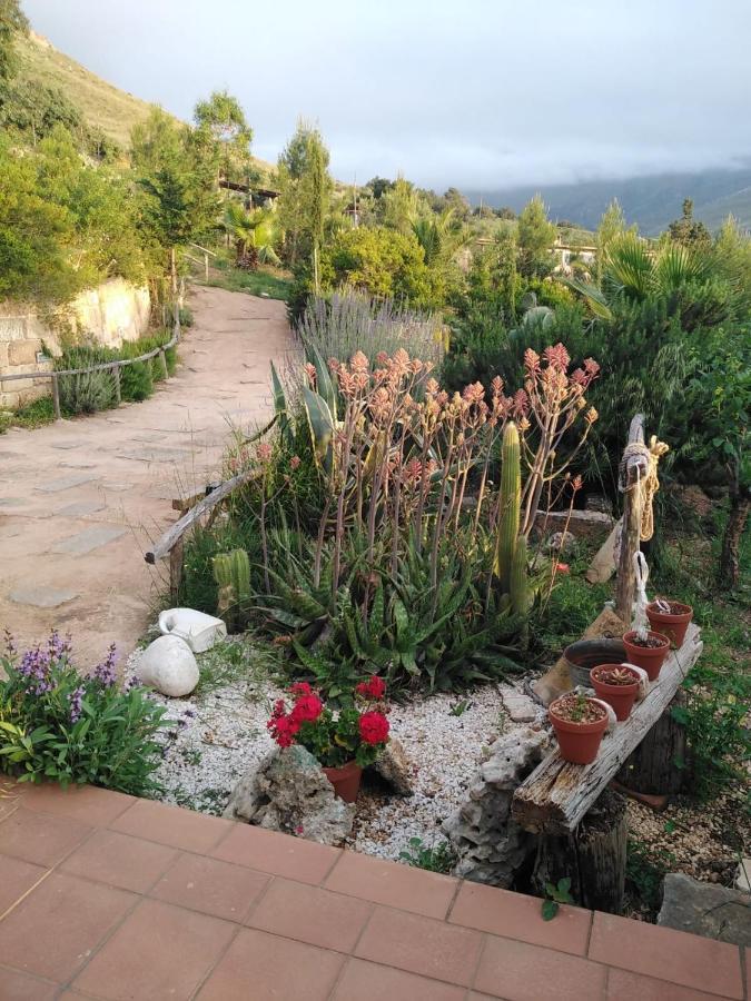 Il Corbezzolo Suite Appartament Castelluzzo Bagian luar foto