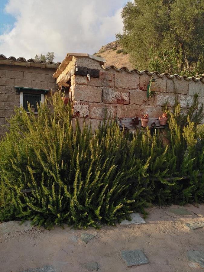 Il Corbezzolo Suite Appartament Castelluzzo Bagian luar foto